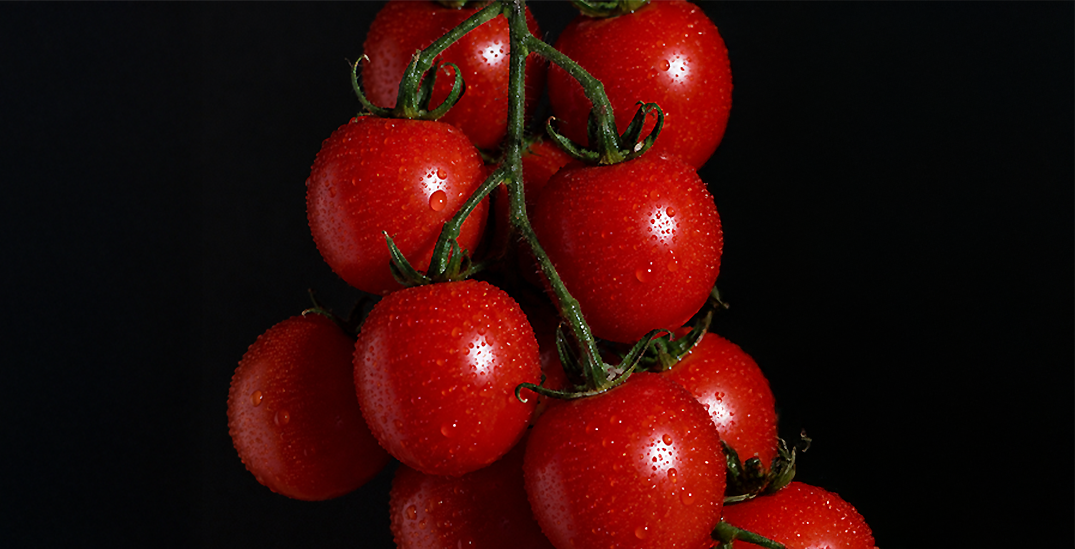 Campari tomato product preview