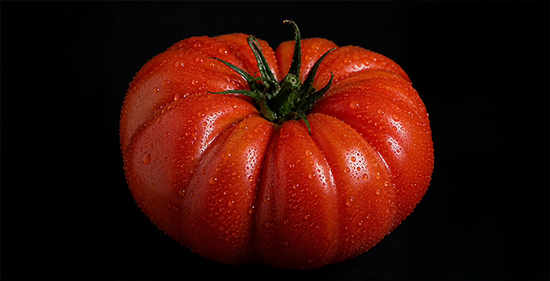 Beefsteak tomato product preview