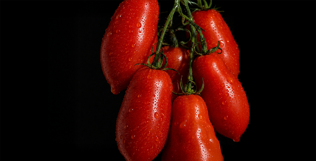 Plum tomato product preview